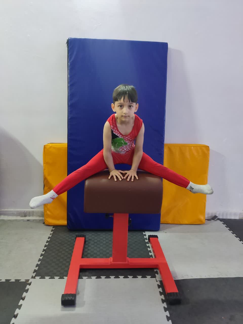 سرکار خانم سعیده پنجه شاهی - مربی ژیمناستیک باشگاه یاس هشتم